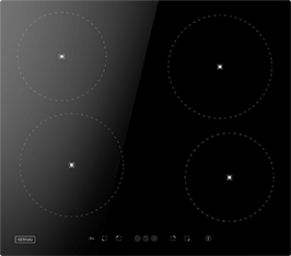 Induktionsfeld Reparatur Rottweil